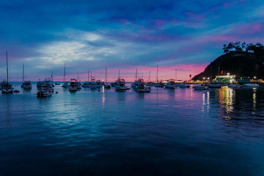 Avalon Bay at dusk with moored boats and lights reflecting on the water